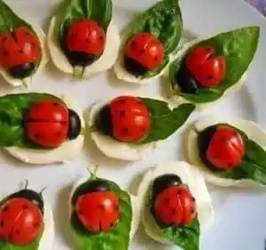 Marienkäfer Tomate Mozzarella