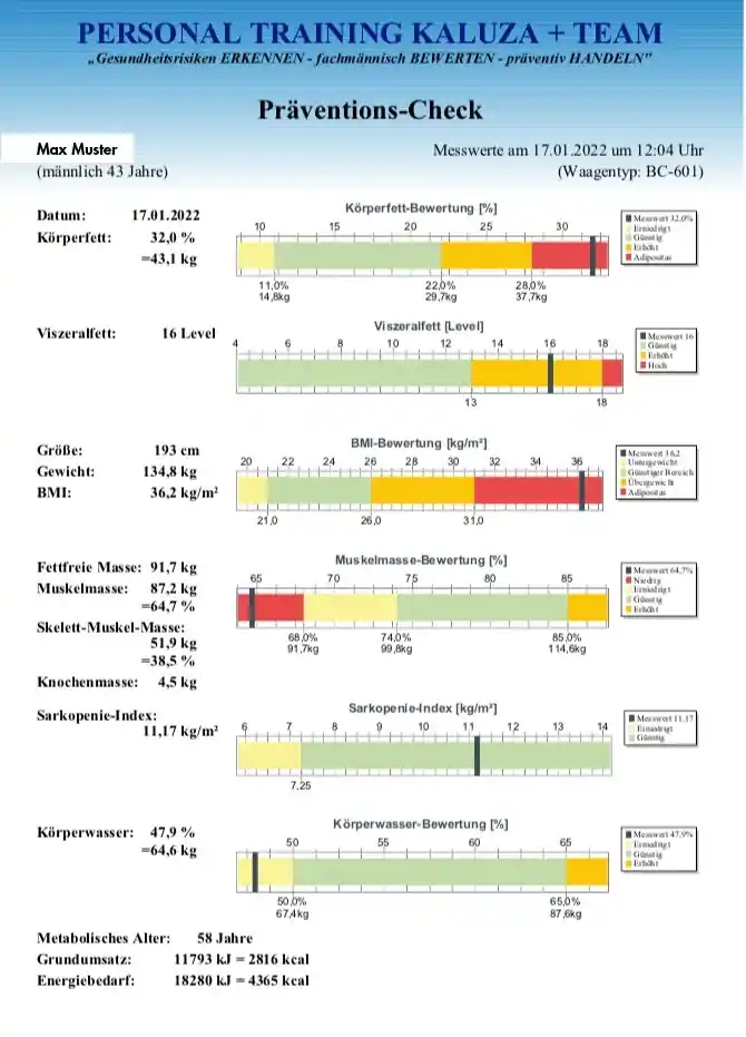 Individueller Trainingsplan basierend auf Körperanalyse