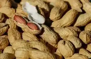 Erdnussöl